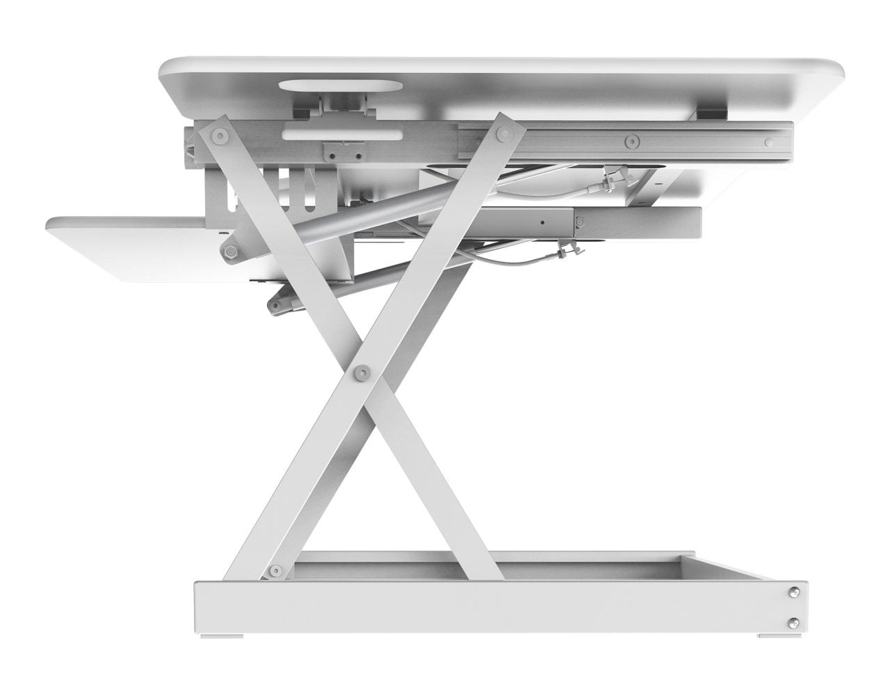 Extra Grande (46"W)