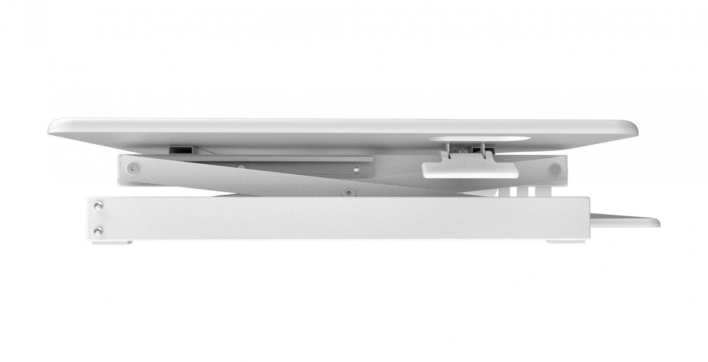 Extra Grande (46"W)