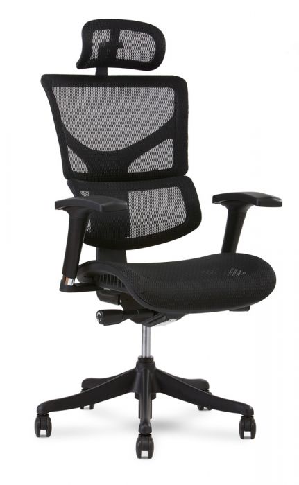X Chair