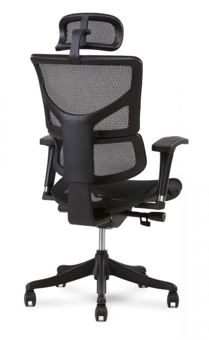 X Chair